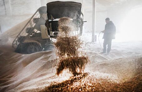 В России зафиксировали резкое падение цен на пшеницу