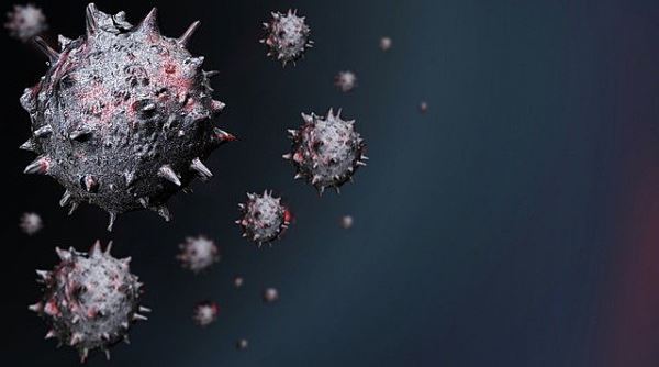 В Индии выявлен первый случай заболевания вариантом коронавируса XE